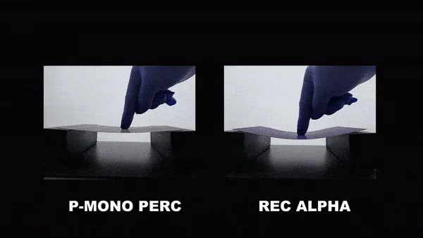 Comparison of P-MONO PERC vs. REC Alpha panels highlighting REC Alpha’s superior strength and durability with Kamtech Solar. Comparison of P-MONO PERC vs. REC Alpha panels highlighting REC Alpha’s superior strength and durability with Kamtech Solar.