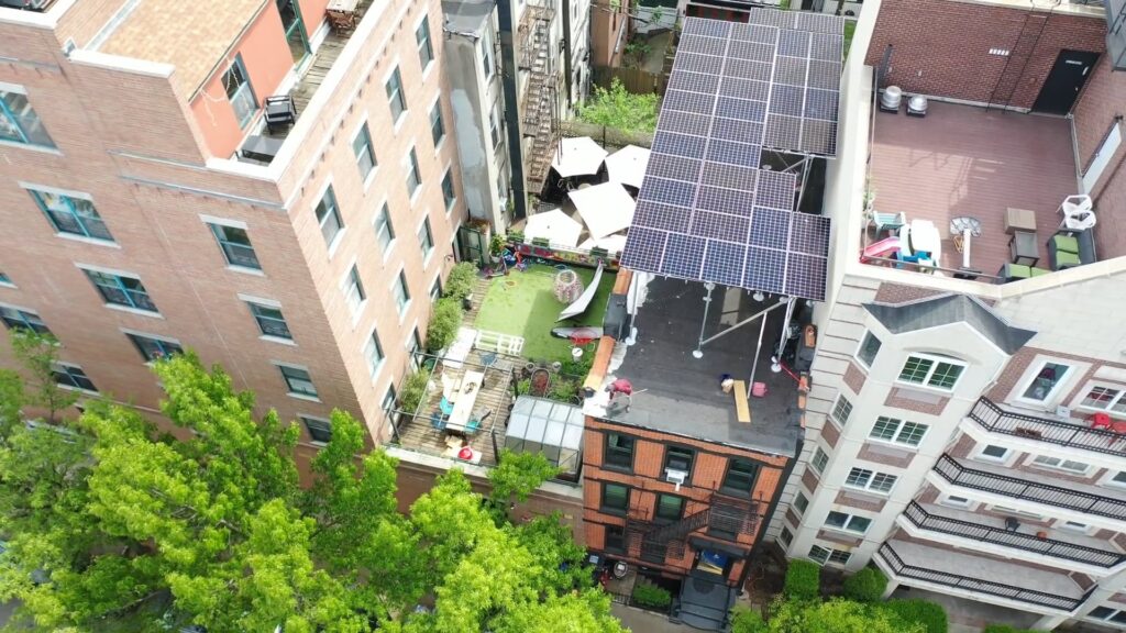Brooklyn Heights Canopy Installation